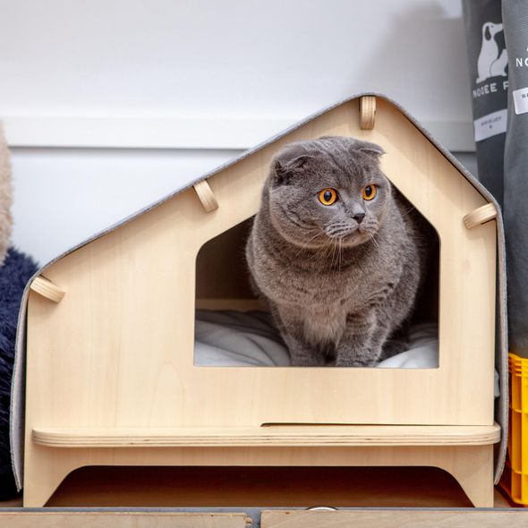 Pet Cabin