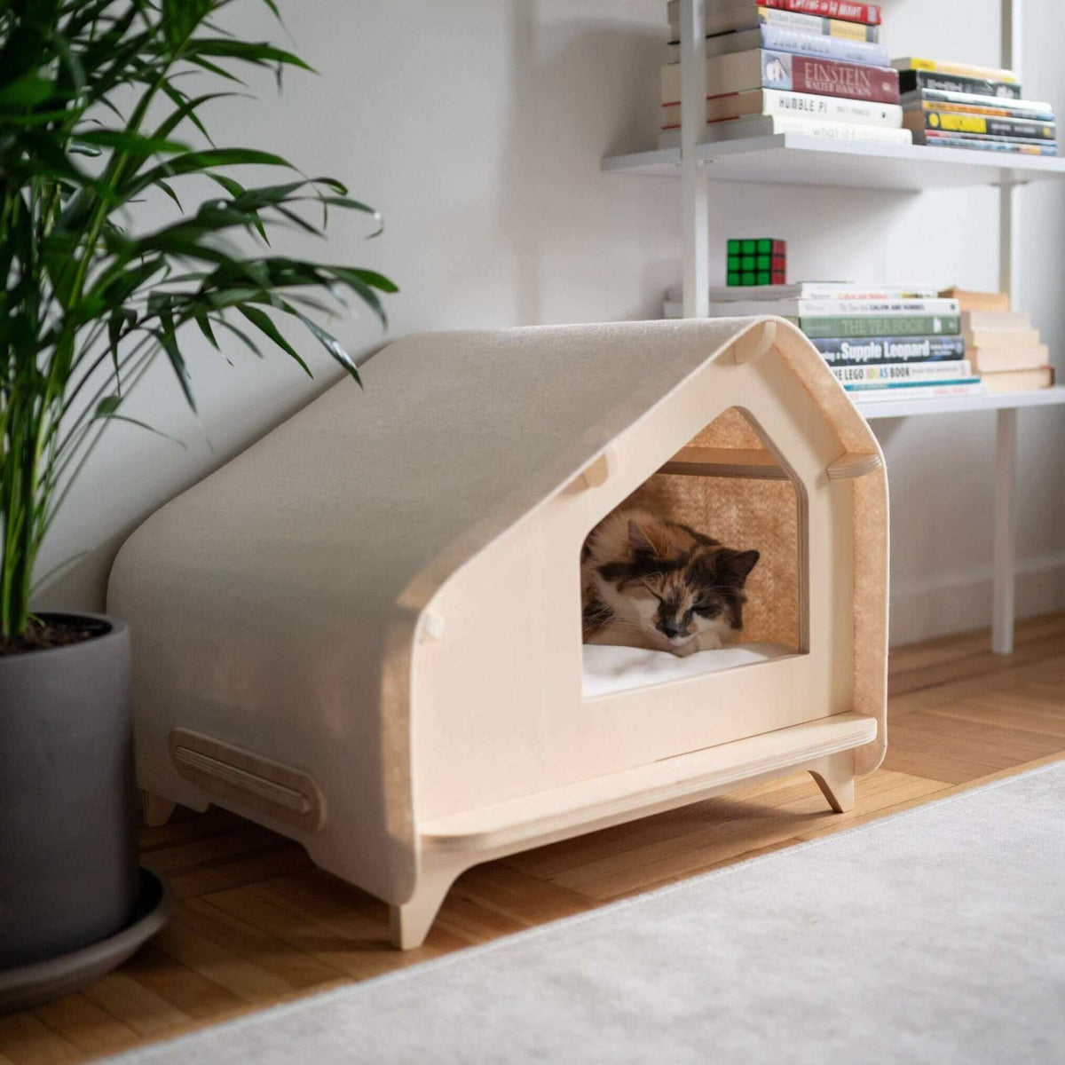 Pet Cabin