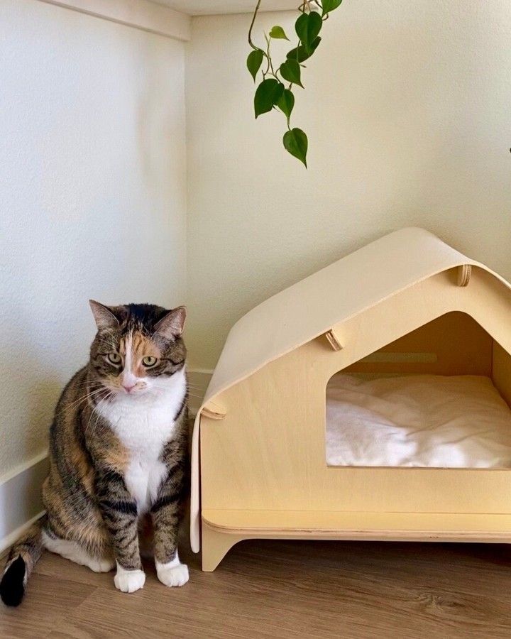 Pet Cabin