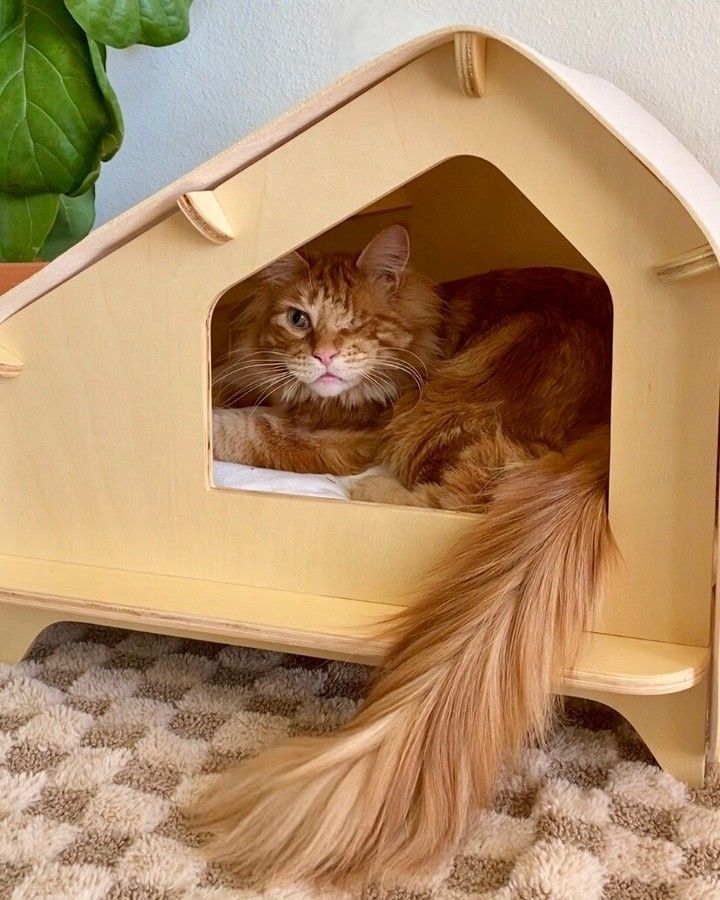 Pet Cabin